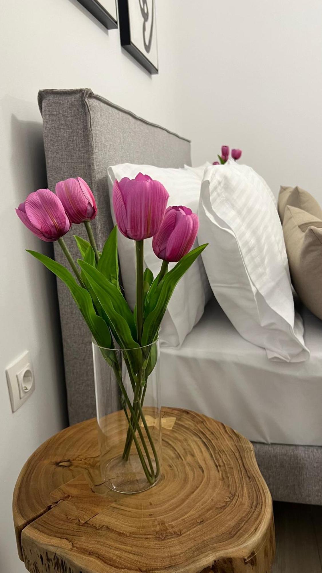 Sias Apartment 알렉산드로폴리스 외부 사진